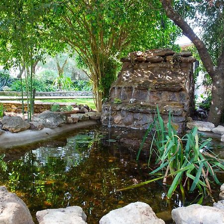 הוילה מדינה סידוניה Casa Caramelo מראה חיצוני תמונה