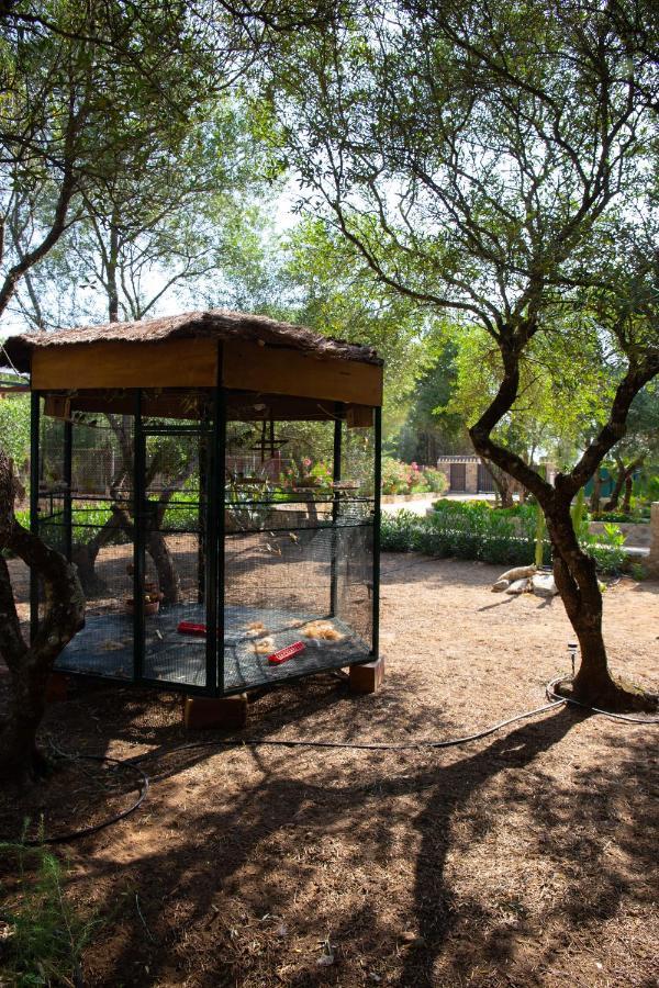 הוילה מדינה סידוניה Casa Caramelo מראה חיצוני תמונה
